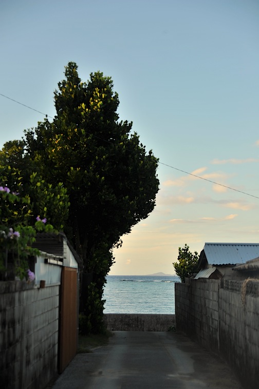 f0236145_17814.jpg