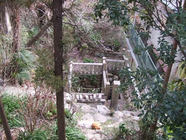 Yasui Shrine_e0046748_1612569.jpg