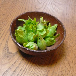 Z家のいただきもので晩ごはん〜春がきた!_a0017350_0191240.jpg