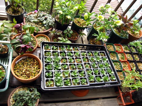 c0147952_23452976.jpg