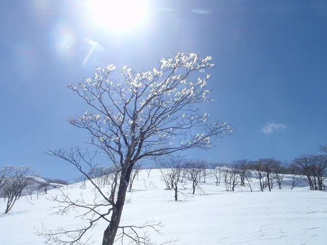 c0097754_20101924.jpg
