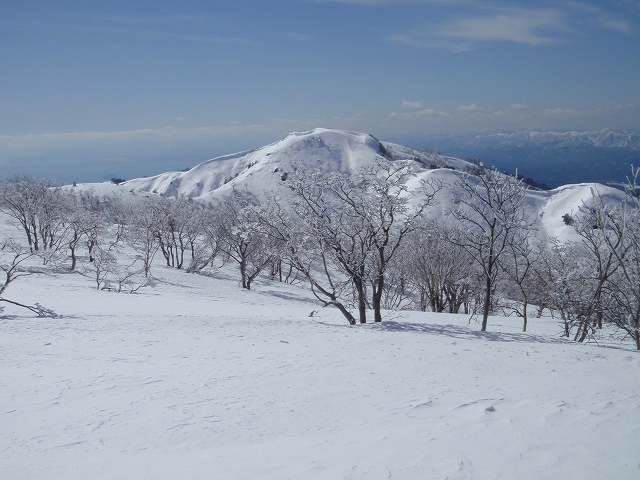 c0097754_20113283.jpg
