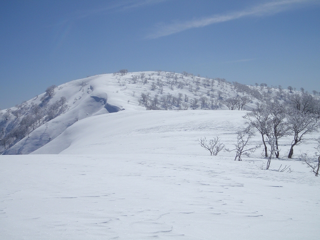 c0097754_2011733.jpg