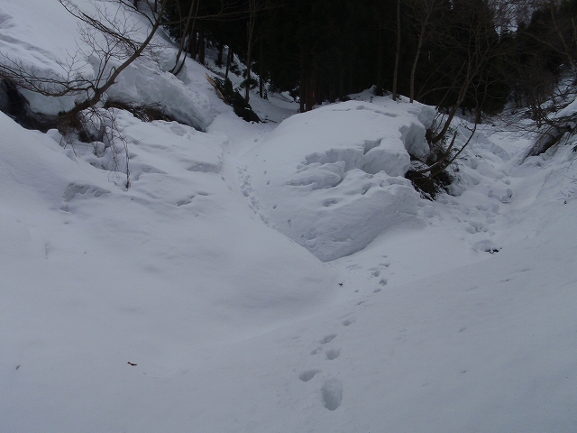 c0097754_2018740.jpg