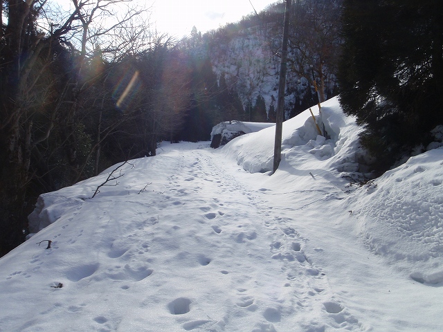 c0097754_2022265.jpg