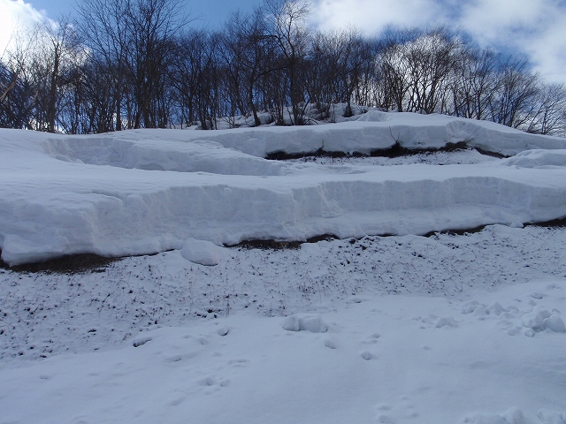 c0097754_2031386.jpg