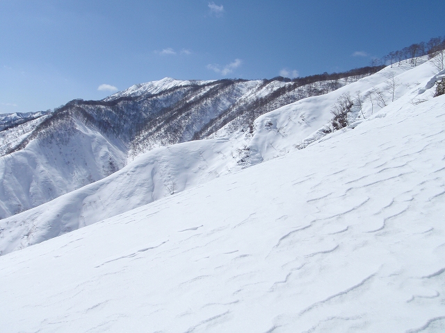 c0097754_2041663.jpg