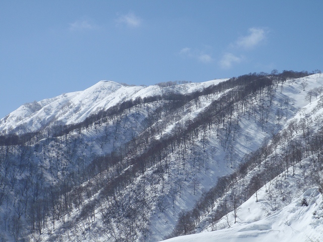 c0097754_2044247.jpg