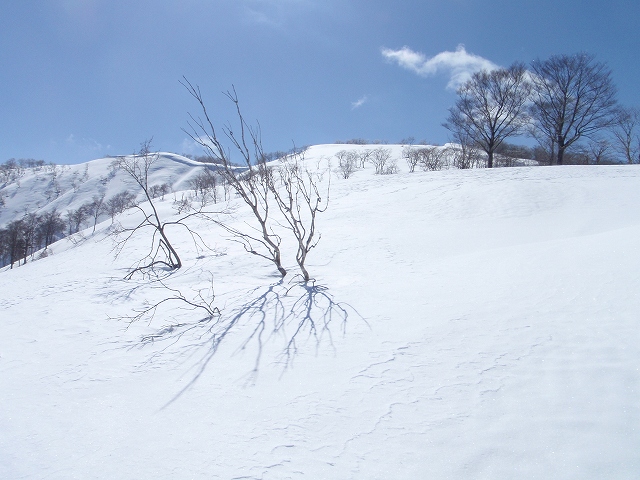 c0097754_2093181.jpg
