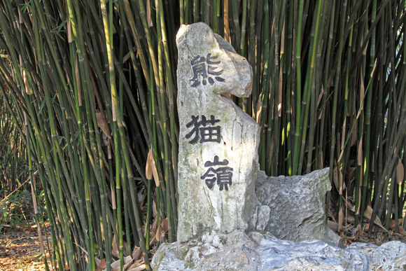 b0207658_14463721.jpg