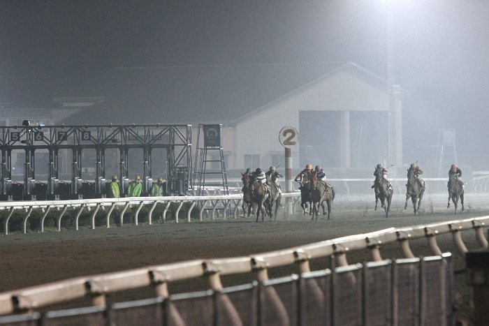 2011年3月6日（日） 高知競馬 6R 3歳-1_a0077663_20162252.jpg