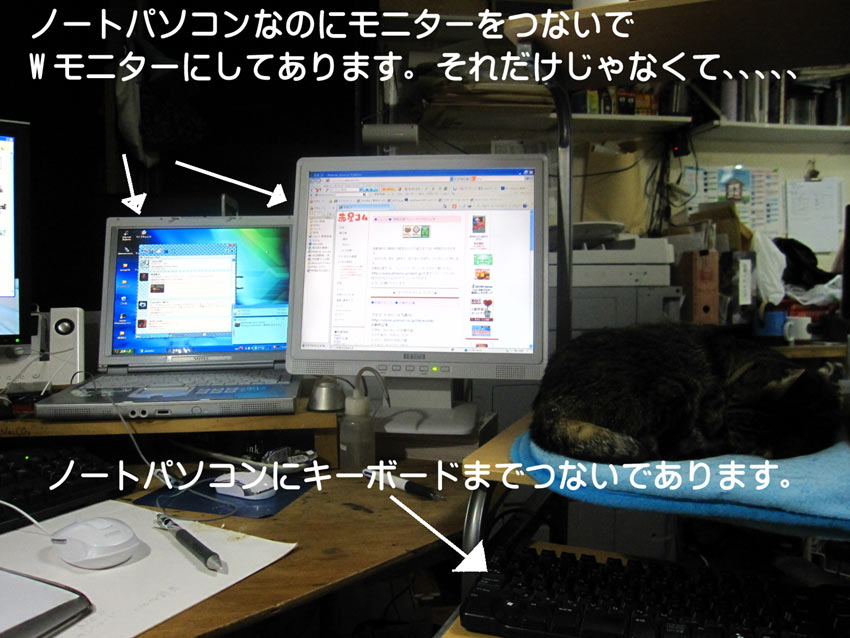 ダブルモニターが二つ_b0019674_2105693.jpg