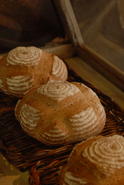 b0173176_16355912.gif