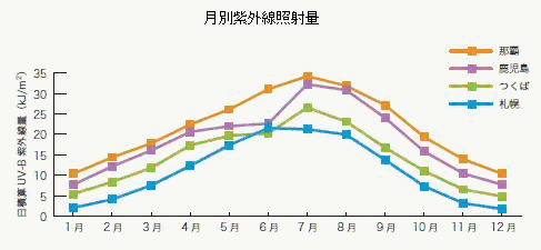 沖縄の日差し_c0113980_15473066.gif