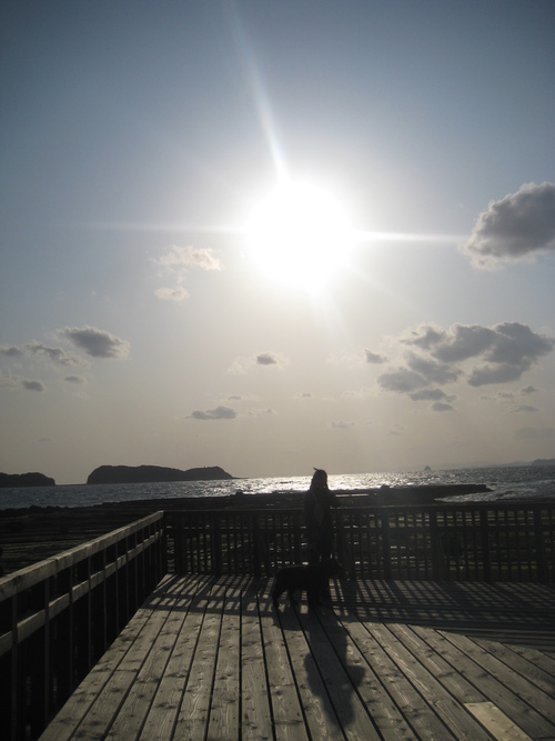 お昼頃に窯焚き終了。 (200)_d0195183_20312662.jpg