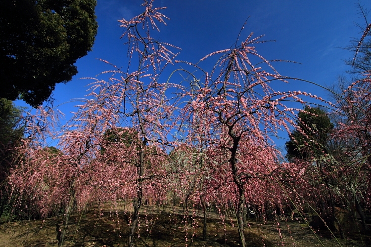 城南宮_e0051888_23593420.jpg