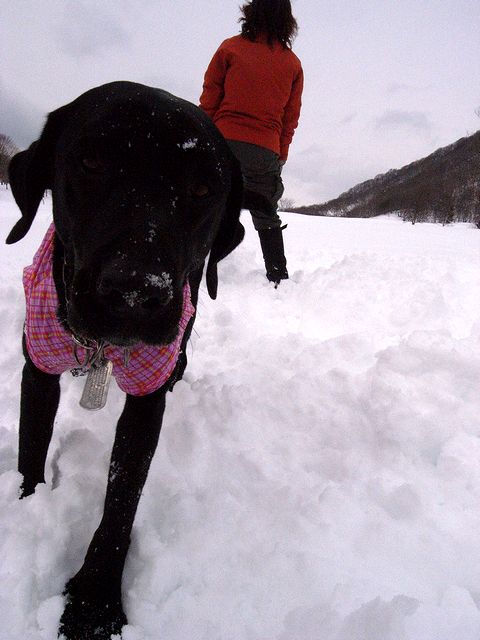 水上に寄り道して雪遊び　14 Feb 2011_a0093592_114230.jpg