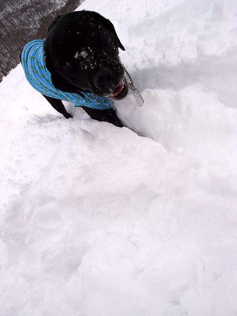 水上に寄り道して雪遊び　14 Feb 2011_a0093592_116717.jpg