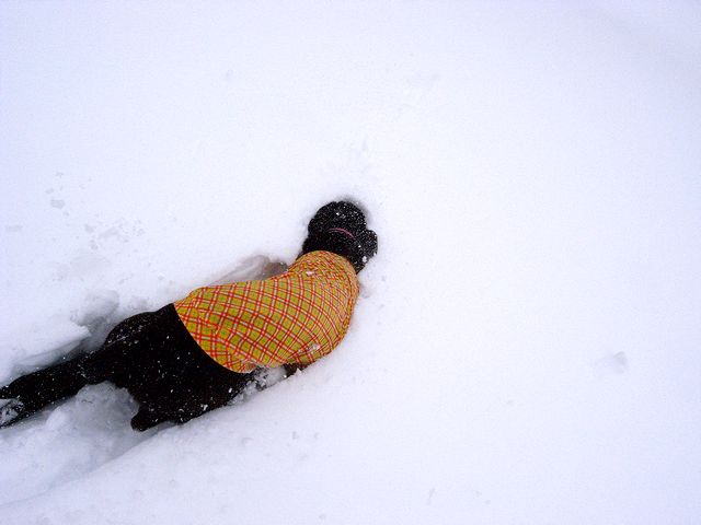 水上に寄り道して雪遊び　14 Feb 2011_a0093592_1364364.jpg