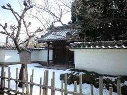 b0059000_14443485.jpg