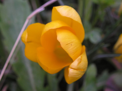c0156104_054834.jpg