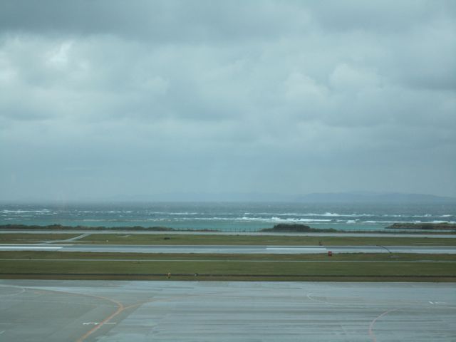 f0159406_1482236.jpg