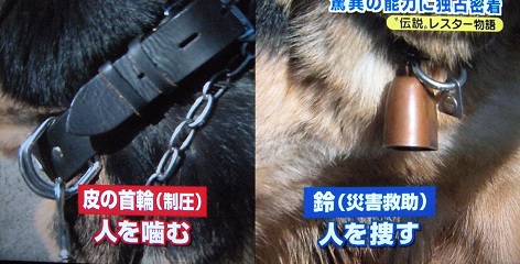 スーパーエリート犬 パルちんライフ ｖｅｒ2