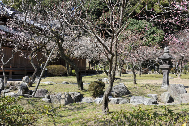a0042310_14301079.jpg