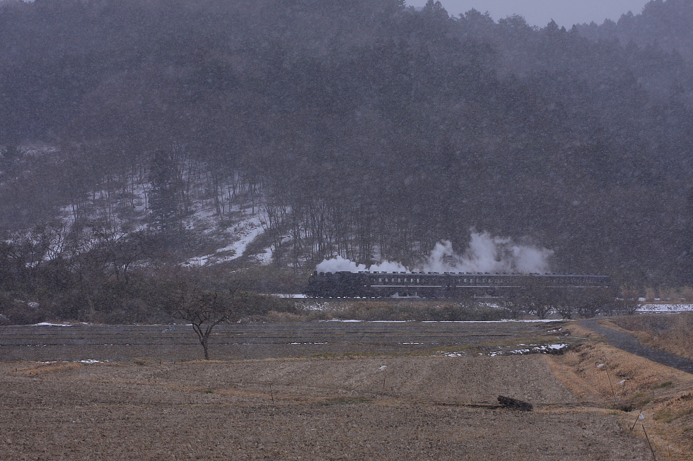 雪舞う伊許山 - 2010冬・真岡 -_b0190710_703852.jpg