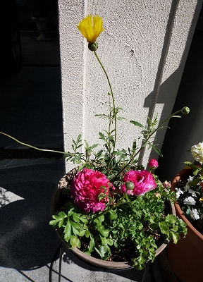 b0207912_19514361.jpg