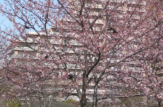 f0121712_1411359.jpg