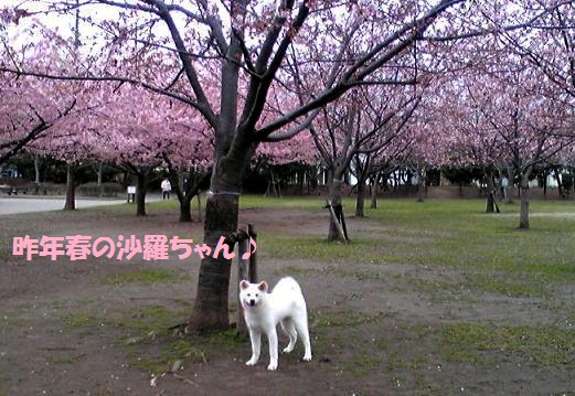 f0121712_14144218.jpg