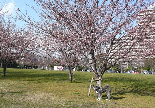 f0121712_1415145.jpg
