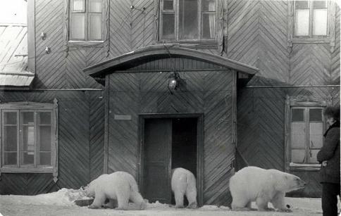 ロシア・ペルミ動物園、アンデルマの表情(2) ~ その存在への認識_a0151913_19474599.jpg