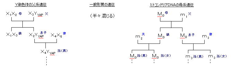 e0171614_1204081.jpg