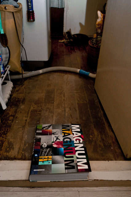 f0192814_1565979.jpg