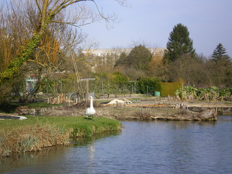 c0124619_8431737.jpg