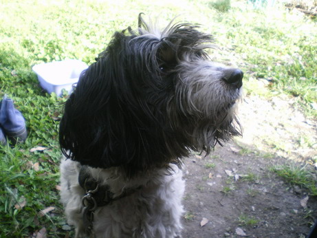 c0124619_8442891.jpg