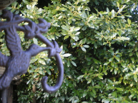 c0124619_8451547.jpg