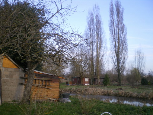 c0124619_8462160.jpg