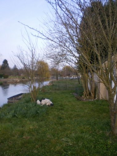 c0124619_8464578.jpg