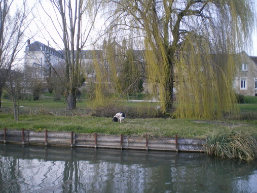 c0124619_847492.jpg