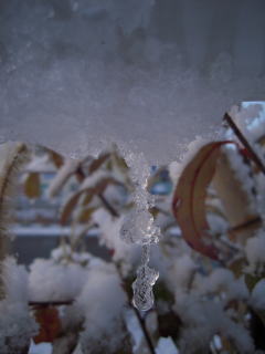 雪・・・。_c0090220_12203312.jpg