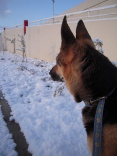 c0090220_12223372.jpg