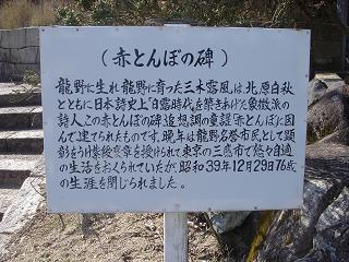 f0000521_711191.jpg