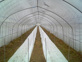 f0032130_1771215.jpg