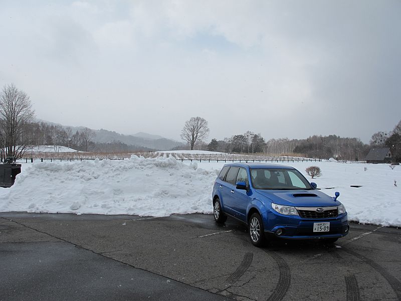 自動車家畜論とSTIのtS戦略_f0076731_2145458.jpg