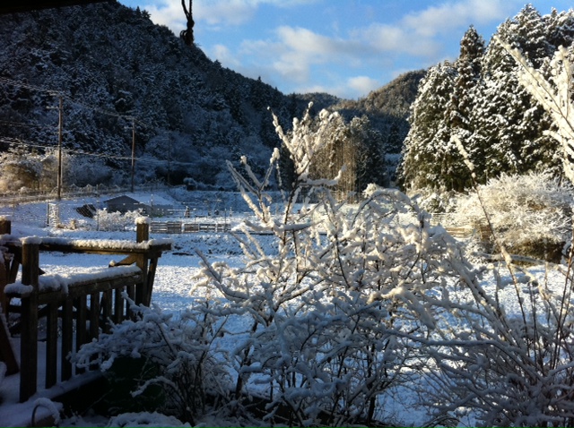 今朝の大原今日も雪_e0074935_1714729.jpg