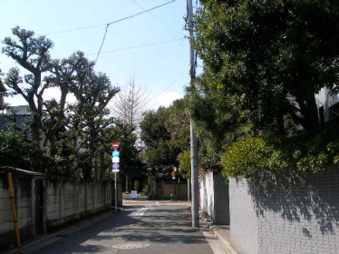 a0074540_8385912.jpg