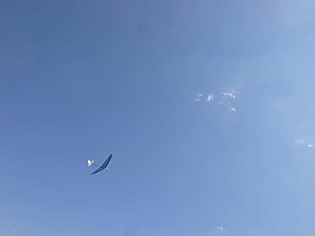 サーマルの予感がする雲_d0067943_1953286.jpg